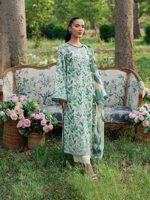 Camellia
