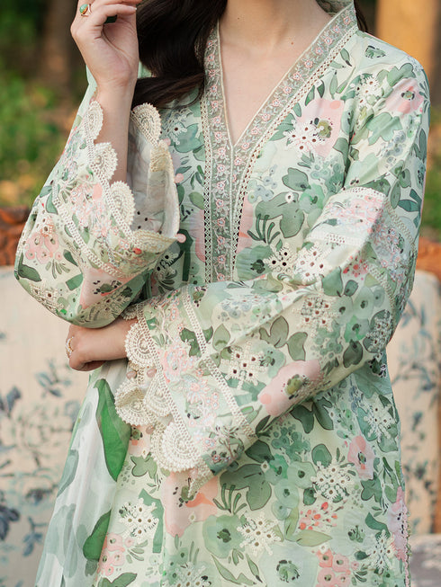 Lilium